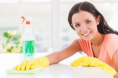 Professional window cleaning service for a Harrow home exterior