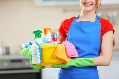 Professional carpet cleaning in a Harrow family home