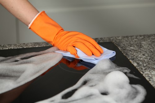 Professional oven cleaning service for Harrow homes