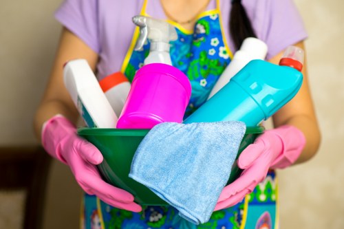 Regular cleaning service for Harrow homes and local properties