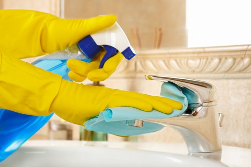 Bathroom sanitising as part of move in cleaning in Harrow
