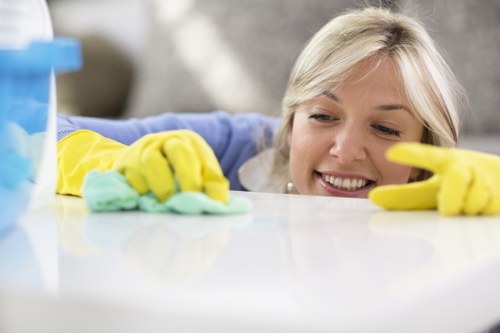 Oven cleaning appointment in a Harrow kitchen