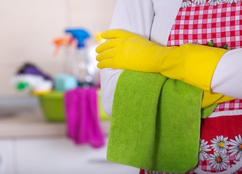 Professional carpet cleaners working carefully and responsibly