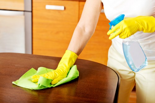 Local cleaning team working in Harrow residential areas