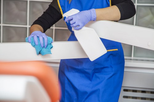 Professional cleaning plan for homes and businesses in Harrow